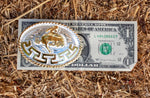 CHILDRENS TODDLER YOUTH western cowboy wrangler rodeo mini belt buckle evilla nino