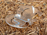 DOUBLE HORSESHOE BULLRIDER cowboy western belt buckle evilla Jaripeo herradura