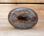 Real SCORPION ALACRAN EPOXY Handmade oval western belt buckle evilla