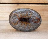 Real SCORPION ALACRAN EPOXY Handmade oval western belt buckle evilla