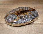 Real SCORPION ALACRAN EPOXY Handmade oval western belt buckle evilla