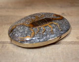 Real SCORPION ALACRAN EPOXY Handmade oval western belt buckle evilla